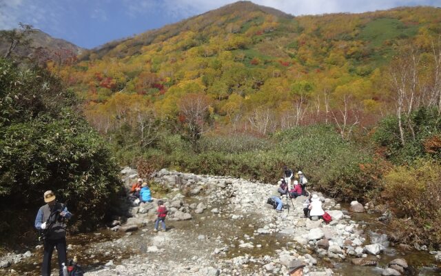 Pension Alps Hakuba