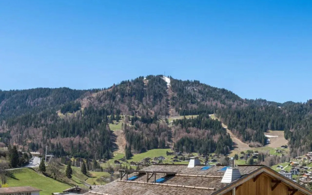 Appartement La Clusaz, 1 pièce, 2 personnes - FR-1-304-88
