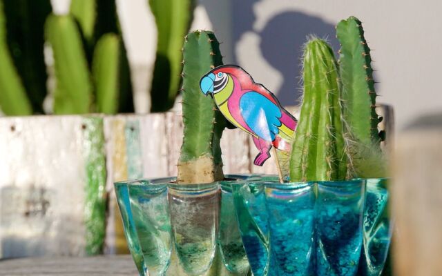 Beachstyle Penthouse