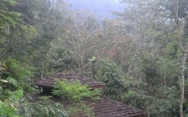 Sumatra Rainforest Eco Retreat