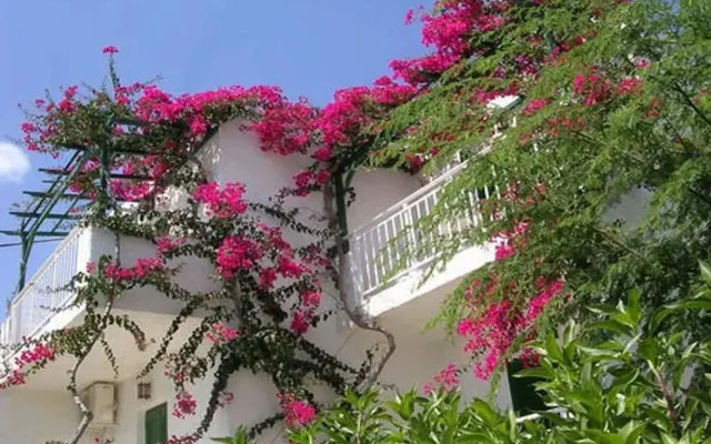 Saradari Apartments