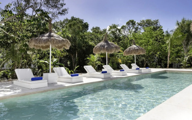 Jungle Lodge Boutique Hotel Adults Only
