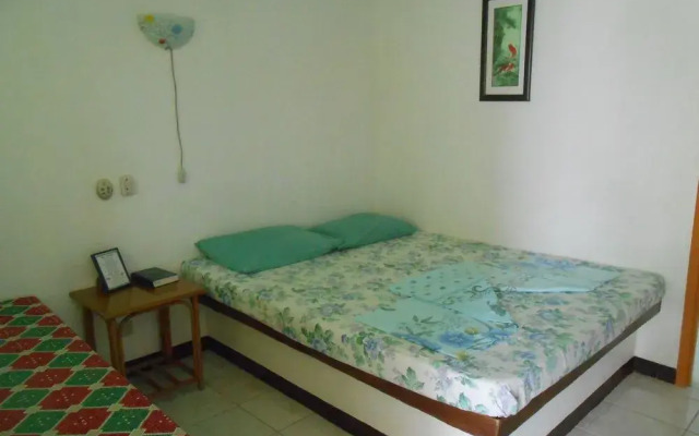 Artistic Diving Resort