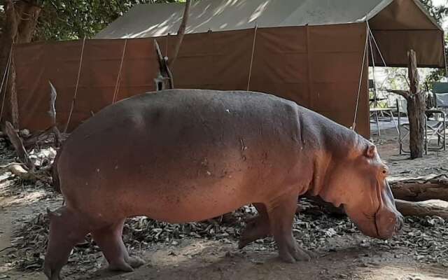 Mwinilunga Safaris