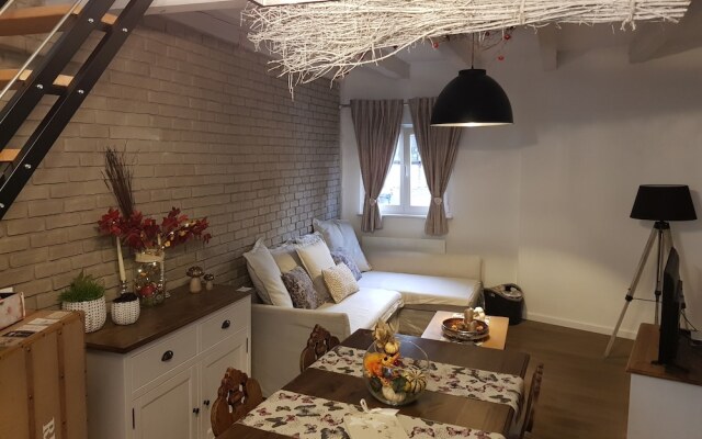 LE NID DE L'ILL, Magnifique Duplex Cosy Petite France