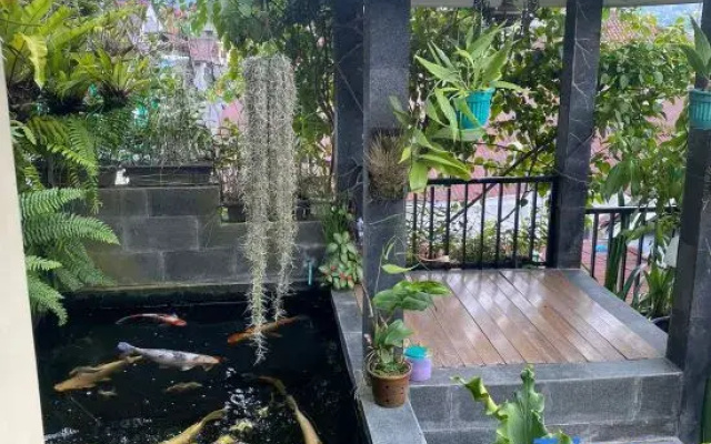 MOZA HOUSE Wonosobo