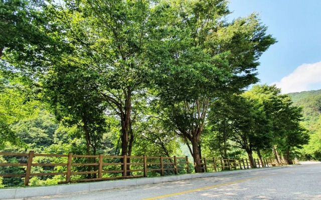 Jirisan Yeonriji Pension