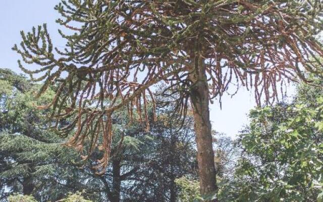 Château de Bellevue