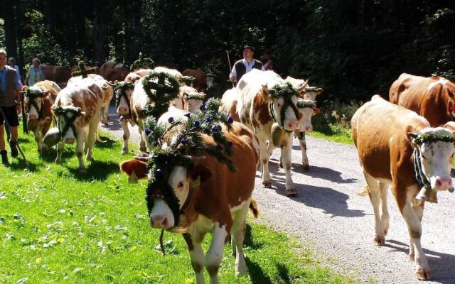 Gästehaus Pfatischer