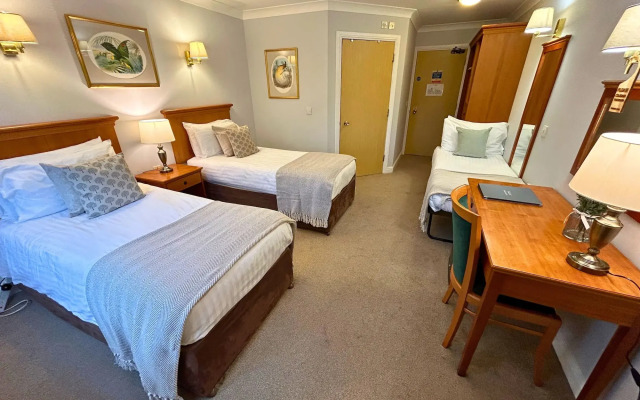 New Forest Lodge
