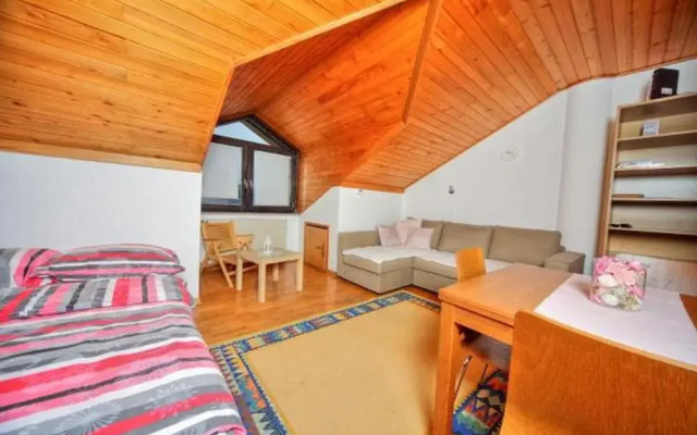 Apartment Viki