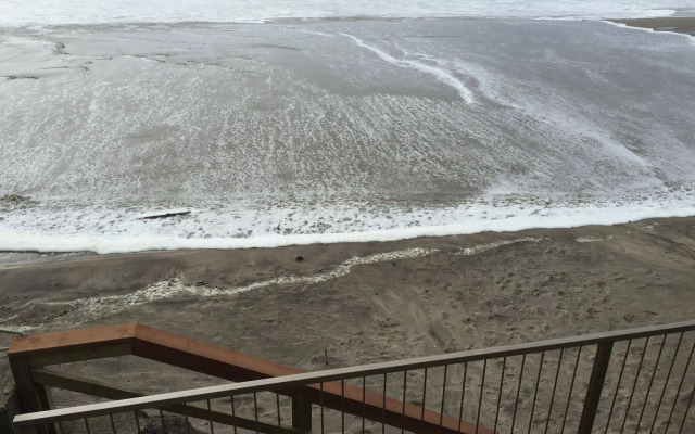 Sandcastle Beachfront Motel