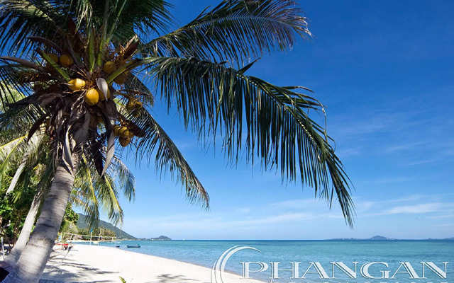 Phangan Beach Resort