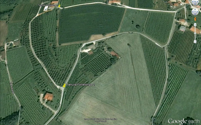 Tenuta Fortelongo