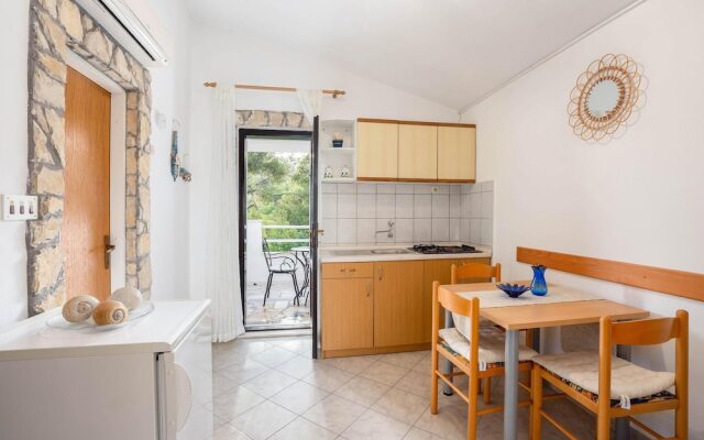 Nice Home in Rukavac With Wifi and 4 Bedrooms