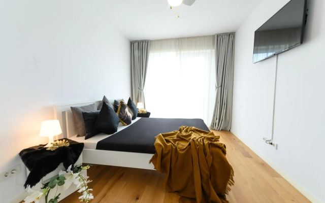 North Artistique - Aviatiei