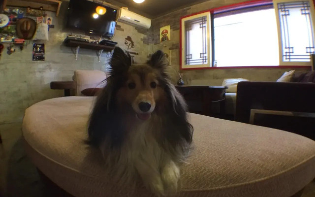 Mr.Comma Guesthouse - Hostel