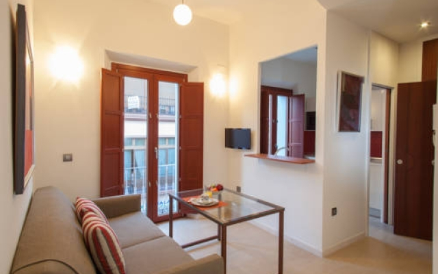 Luxury Apartments Seville Center