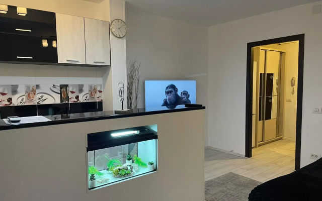 Fancy Studio