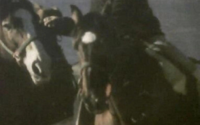 Centro Trekking A Cavallo Monte Brugiana