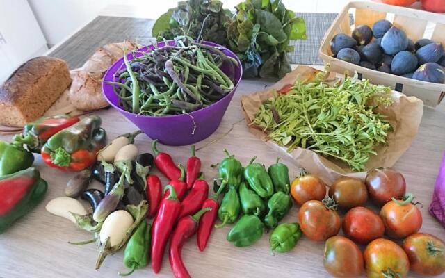 Appart indépendant dans propriété 4000 m2 Luberon