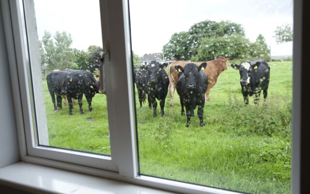 Inny Bay B&B