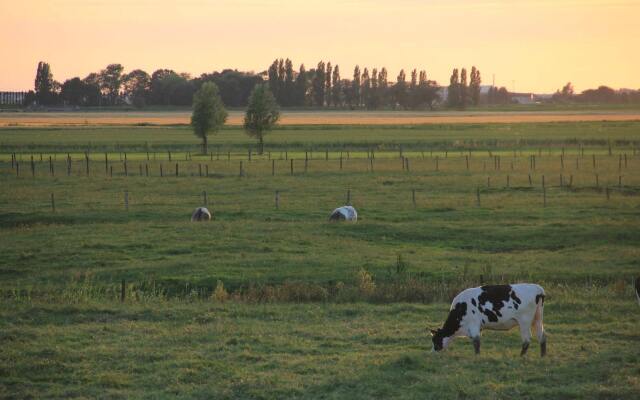 Little Polder 27