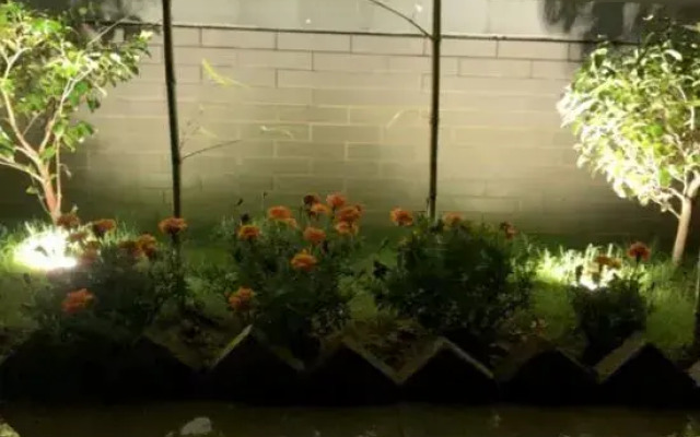 Rooftop Flower Stream Ink B&B