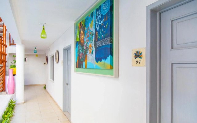 Mestizo Gallery
