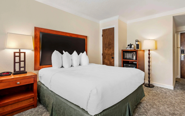 Best Western Plus Eagle/Vail Airport