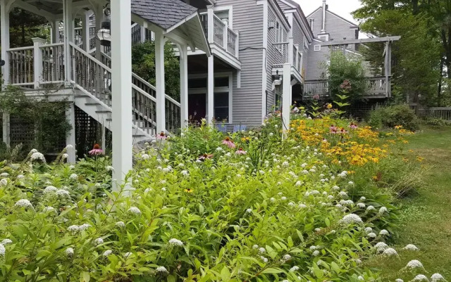 Blackberry Inn