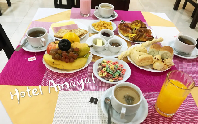 Hotel Amayal