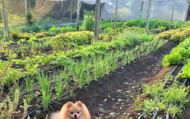 Oasis Boutique Hotel & Spa