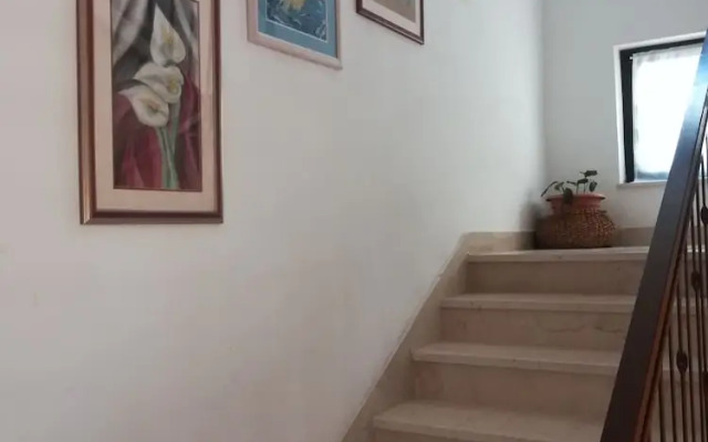 Apartments Tamara
