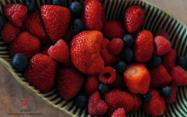 Quinta São José do Barrilario