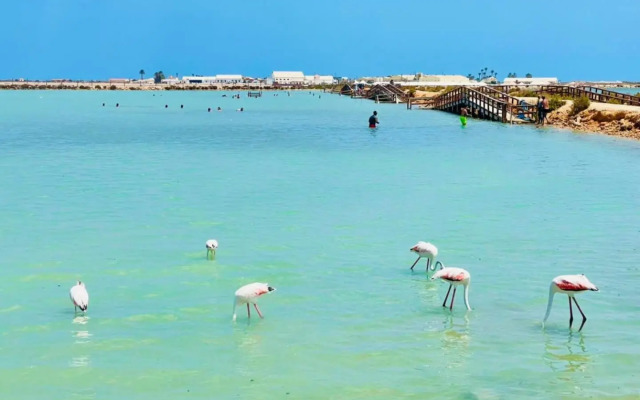 Casa Beth Villamartin 2 Bedroom/ 2 Bathroom with Pool