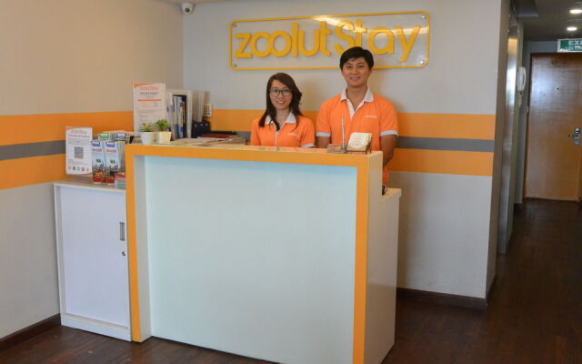 Zoolut Stay 278