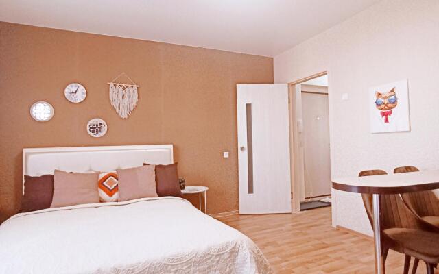 Апартаменты на улице братьев Кашириных 131Б