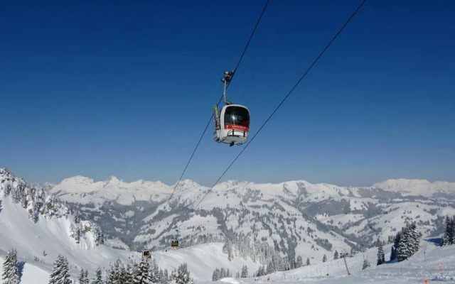 Contemporary Swiss Escape