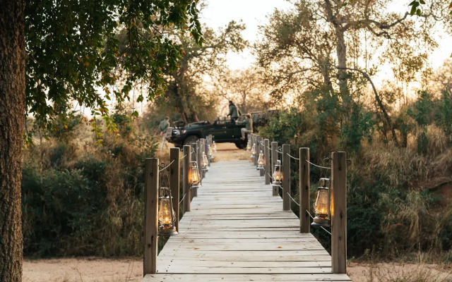Amani Safari Camp