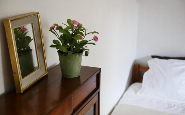 Les Oiseaux de Passage