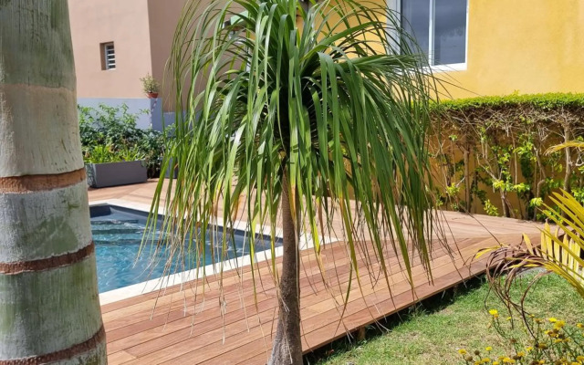 Le Palmier de la Paix