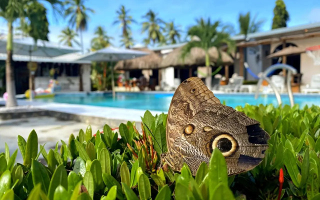 Show Pony Beach Resort and Suites