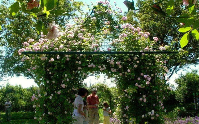 Ferienwohnung Bella Rosa