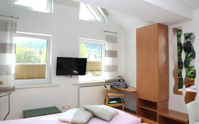 Pension & Ferienwohnung Schweinsberg