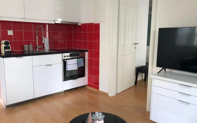 Sankt Gallen - City Appartement