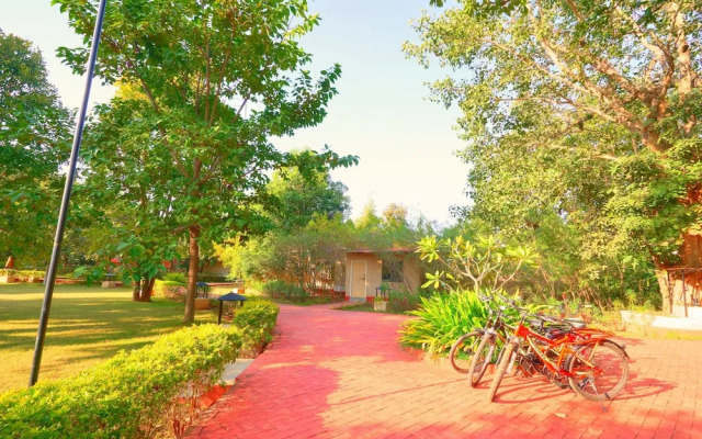Bundela Bandhavgarh by Octave