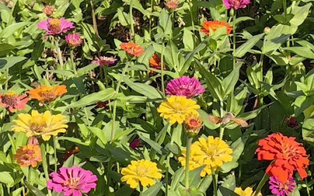 Tan Xisu Yun Xu Seaview Homestay