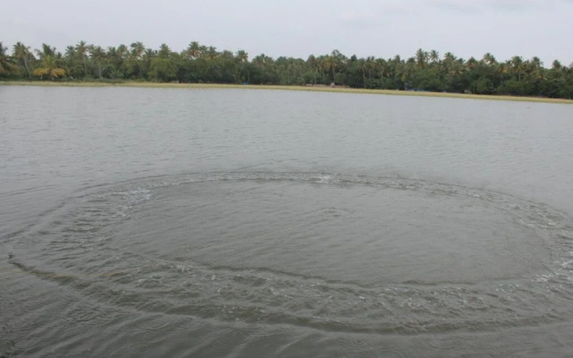 Kadalkkara Lake Resorts