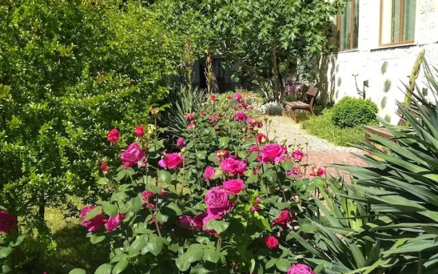 Saint Nikola Holiday Complex
